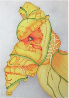 „Birdy“, 2021, Farbstift auf Papier, 50 x 70 cm 