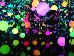 Ausstellung Niki. Kusama. Murakami