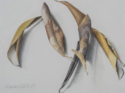 8920319l_s
